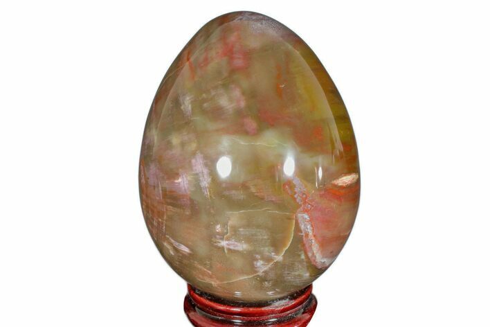 Colorful, Polished Petrified Wood Egg - Madagascar #172519